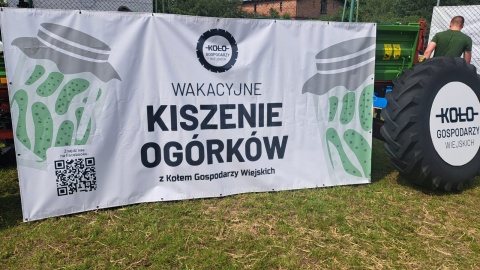 380 osób jednocześnie kisiło ogórki w Rozgartach koło Torunia/fot. Robert Duliński