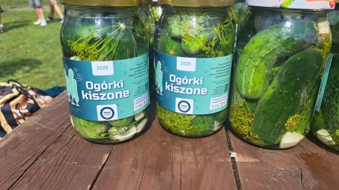 380 osób jednocześnie kisiło ogórki w Rozgartach koło Torunia/fot. Robert Duliński