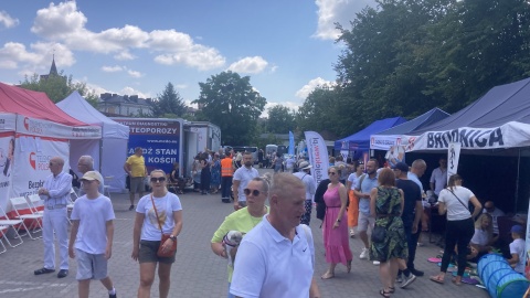 Jarmark Ekologiczny z królewną Anną w Brodnicy/fot. Krystian Makowski