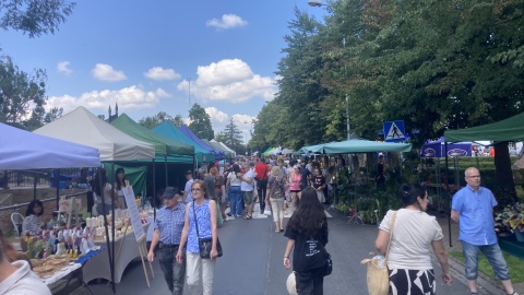 Jarmark Ekologiczny z królewną Anną w Brodnicy/fot. Krystian Makowski