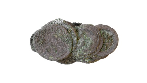 Cenne odkrycie na Bulwarze Filadelfijskim w Toruniu. Archeolodzy pracujący w XIII-wiecznym kompleksie Ducha Świętego odsłonili już ponad 60 grobów, a także „skarb" w postaci monet/fot. Wiesław Ochotny