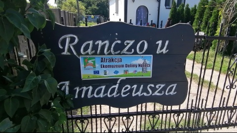 „Wakacyjny przewodnik po regionie" - Ranczo u Amadeusza/fot. Iwona Muszytowska-Rzeszotek
