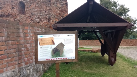 Wystawa pradawnych militariów w Toruniu/fot. Michał Zaręba