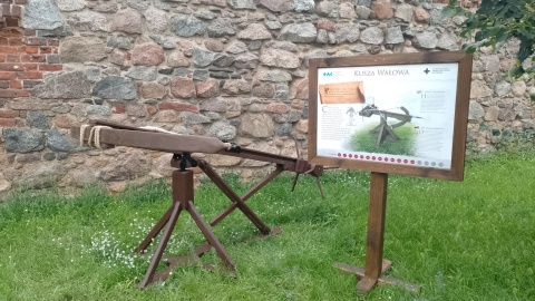Wystawa pradawnych militariów w Toruniu/fot. Michał Zaręba