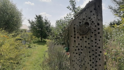 Podczas obchodów 10. urodzin Makowiska w powietrzu unosił się zapach ziół. Można było też coś „wrzucić na ząb” i kupić ręcznie wykonane produkty/fot: Monika Siwak