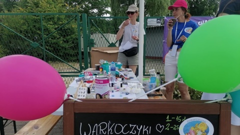 Podczas pikniku w Pieczyskach zbierano pieniądze na wsparcie chorych dzieci/fot: Monika Siwak