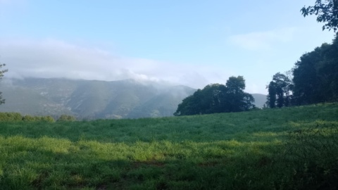 Na Szlaku Camino Primitivo/fot. Michał Zaręba