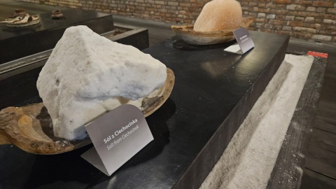 Tak prezentuje się Muzeum Warzelni Soli i Lecznictwa Uzdrowiskowego w Ciechocinku. / Fot. Adriana Andrzejewska-Kuras