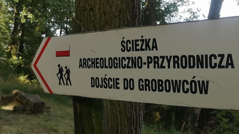 Dziś w ramach „Wakacyjnego przewodnika po regionie” zapraszamy do krainy „polskich piramid" na Kujawach/fot. Agnieszka Marszał