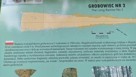 Dziś w ramach „Wakacyjnego przewodnika po regionie” zapraszamy do krainy „polskich piramid" na Kujawach/fot. Agnieszka Marszał