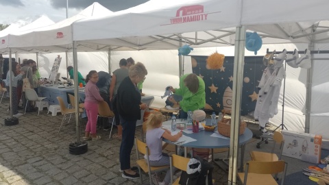 Rodzinny piknik naukowy „Odkrywcy przy Centrum Nowoczesności Młyn Wiedzy/fot: Michał Zaręba