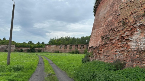 /fot. Tomasz Kaźmierski