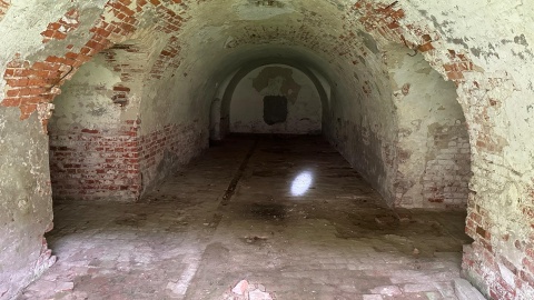 /fot. Tomasz Kaźmierski