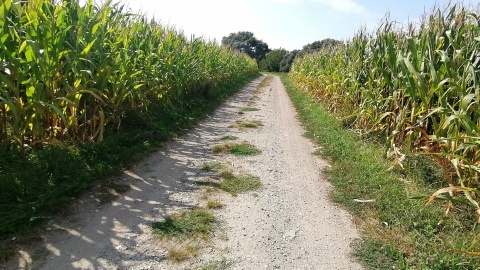 W „Wakacyjnym przewodniku po regionie" odkrywamy Złotorię/fot: Iwona Muszytowska-Rzeszotek