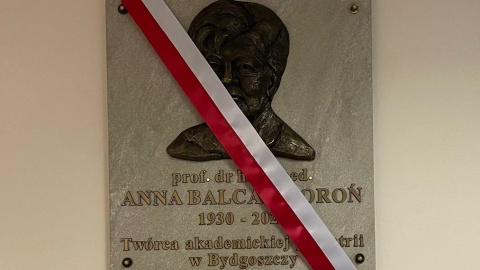 Tablica na razie zawisła na oddziale pediatrii bydgoskiego szpitala im. Jurasza/fot. Natasza Trzebuchowska