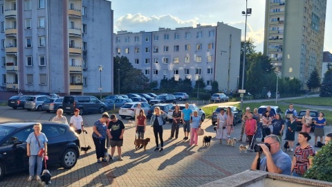Błogosławieństwo zwierząt w Bydgoszczy/fot. Damian Klich