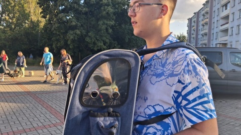 Błogosławieństwo zwierząt w Bydgoszczy/fot. Damian Klich