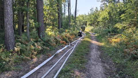 W Wałkowiskach w powiecie świeckim przeprowadzono wielkie ćwiczenia służb/fot. Agata Raczek