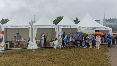Piknik zdrowotno-ekologiczny „Łączymy Pokolenia”/fot. Monika Kaczyńska