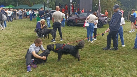 W Toruniu odbył się 12. Piknik Przyjaciół Schroniska/fot: Monika Kaczyńska