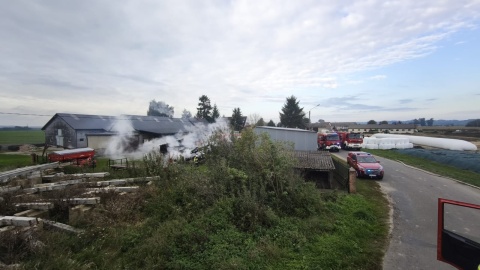 Pożar budynku gospodarczego w Dorposzu Chełmińskim/fot. KP PSP Chełmno