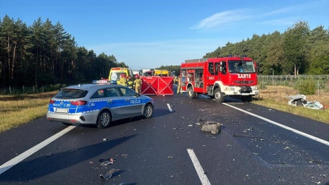 W wypadku zginęła 26-latka. Łącznie pięć osób zostało rannych/fot.: Facebook, KM PSP Toruń
