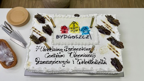 Centrum Wolontariatu w bydgoskim Fordonie oficjalnie otwarte/fot. Izabela Langner