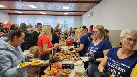 Festiwal Dyni w Gnojnie pod Inowrocławiem. / Fot. Facebook Gminy Inowrocław