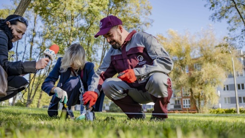 Uczelnia prowadzi akcję „Krokus na kampus”. Przed Politechniką posadzono 10 tysięcy kwiatów/fot.: Politechnika Bydgoska