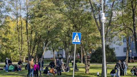 Uczelnia prowadzi akcję „Krokus na kampus”. Przed Politechniką posadzono 10 tysięcy kwiatów/fot.: Politechnika Bydgoska