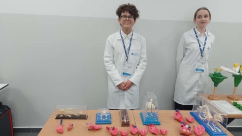 Uniwersyteckie Liceum Ogólnokształcącym w Toruniu ma własne laboratorium biologiczno - chemiczne/fot. Michał Zaręba