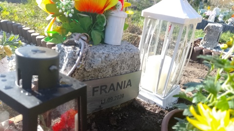 Cmentarz dla zwierząt „Tęczowy Las” mieści się przy ul. Kociewskiej/fot. Michał zaręba/archiwum