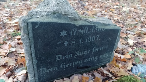 Tak prezentuje się obecnie cmentarz na Rudaku. / Fot. Michał Zaręba