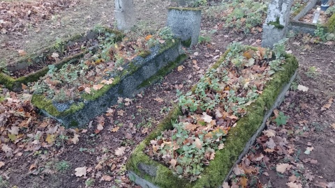 Tak prezentuje się obecnie cmentarz na Rudaku. / Fot. Michał Zaręba