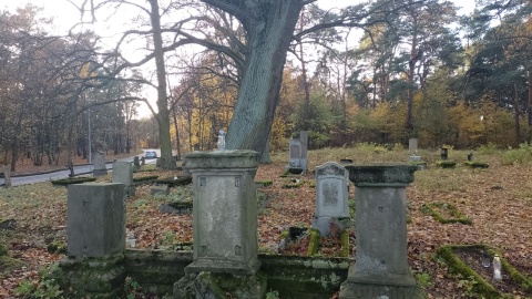 Tak prezentuje się obecnie cmentarz na Rudaku. / Fot. Michał Zaręba