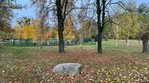 Tutaj powstanie pierwszy w Bydgoszczy ogród biocenotyczny. / Fot. Natasza Trzebuchowska