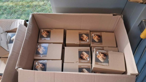 W tramwaju numer 9 można otrzymać poznańskie rogale/fot. Damian Klich