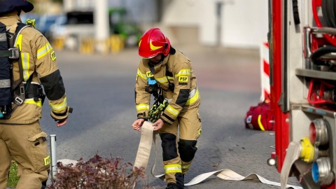 Ewakuacja gości i pracowników bydgoskiego hotelu Pozyton/fot. Izabela Langner