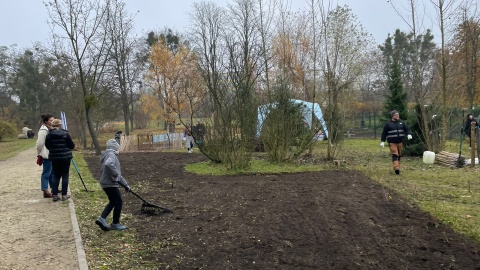Ogród biocenotyczny powstał w parku przy ul. Unii Lubelskiej w Bydgoszczy/fot. Natasza Trzebuchowska