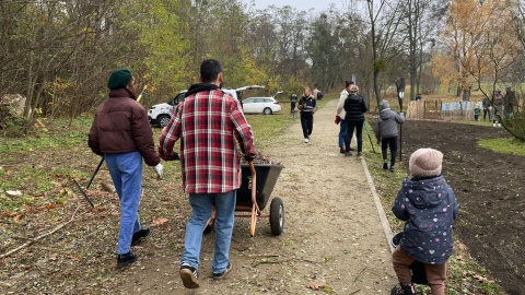 Ogród biocenotyczny powstał w parku przy ul. Unii Lubelskiej w Bydgoszczy/fot. Natasza Trzebuchowska