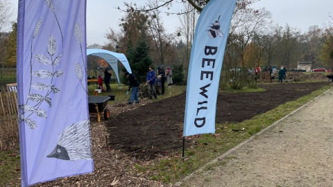 Ogród biocenotyczny powstał w parku przy ul. Unii Lubelskiej w Bydgoszczy/fot. Natasza Trzebuchowska