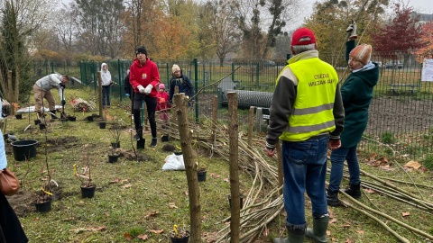 Ogród biocenotyczny powstał w parku przy ul. Unii Lubelskiej w Bydgoszczy/fot. Natasza Trzebuchowska