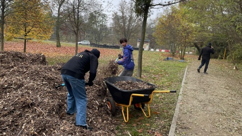Ogród biocenotyczny powstał w parku przy ul. Unii Lubelskiej w Bydgoszczy/fot. Natasza Trzebuchowska