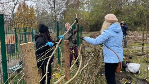 Ogród biocenotyczny powstał w parku przy ul. Unii Lubelskiej w Bydgoszczy/fot. Natasza Trzebuchowska