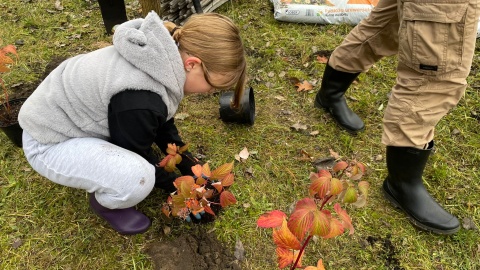 Ogród biocenotyczny powstał w parku przy ul. Unii Lubelskiej w Bydgoszczy/fot. Natasza Trzebuchowska