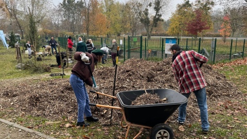 Ogród biocenotyczny powstał w parku przy ul. Unii Lubelskiej w Bydgoszczy/fot. Natasza Trzebuchowska