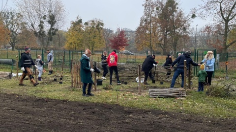 Ogród biocenotyczny powstał w parku przy ul. Unii Lubelskiej w Bydgoszczy/fot. Natasza Trzebuchowska