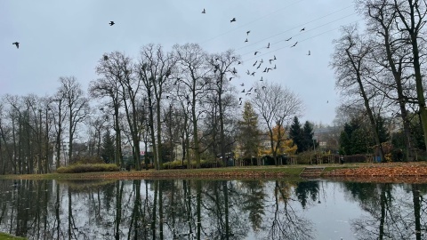 „Godzina dla Marcina". Ekologiczna akcja upamiętniająca zmarłego Marcina Sikorę/fot. Natasza Trzebuchowska