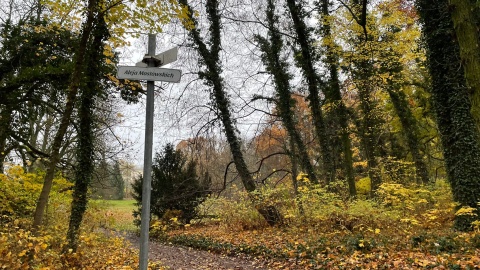 W niedzielę po raz pierwszy udostępnione zostały trzy trasy w Bydgoszczy/fot. Natasza Trzebuchowska