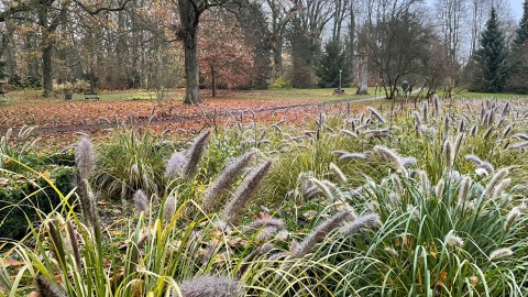W niedzielę po raz pierwszy udostępnione zostały trzy trasy w Bydgoszczy/fot. Natasza Trzebuchowska